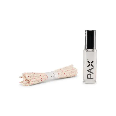 PAX Cleaning Kit